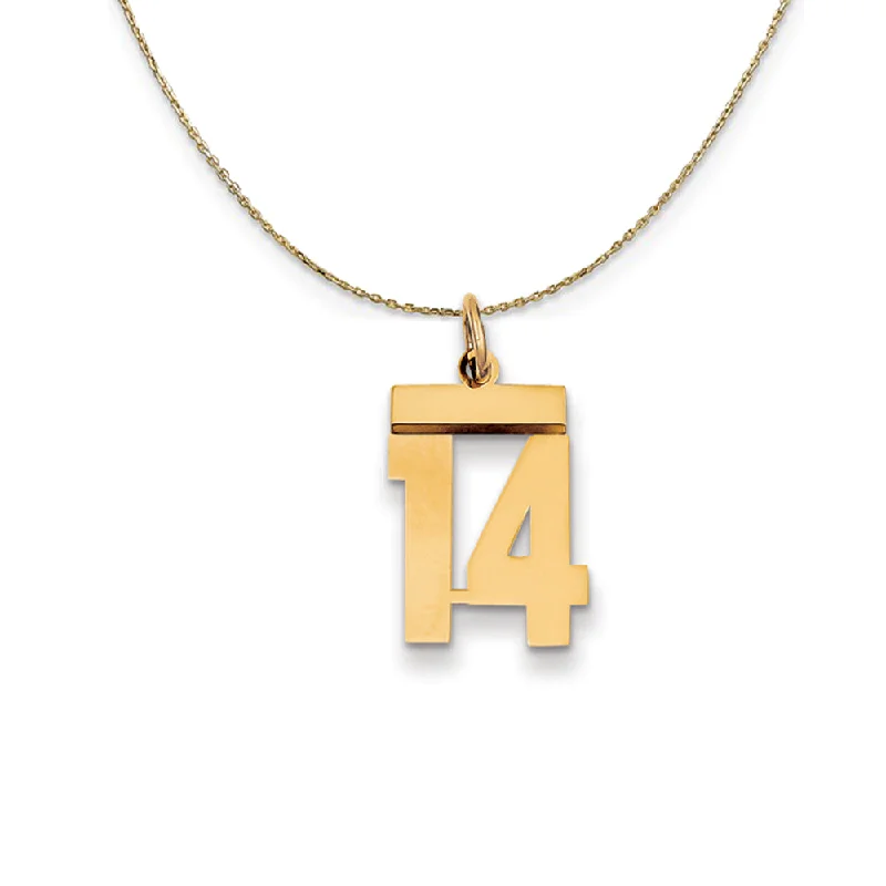 14k Yellow Gold, Athletic, Sm Polished Number 14 Necklace