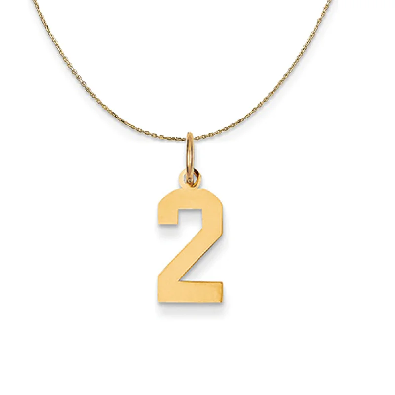 Glimmer spark necklace-14k Yellow Gold, Athletic, Sm Polished Number 2 Necklace