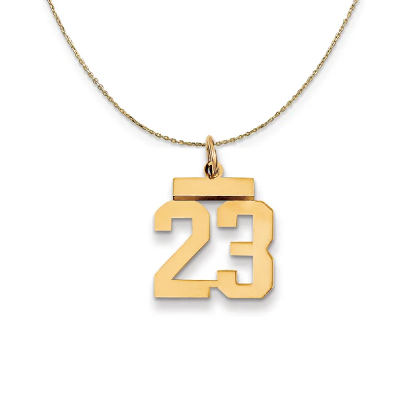 Haze glass necklace-14k Yellow Gold, Athletic, Sm Polished Number 23 Necklace