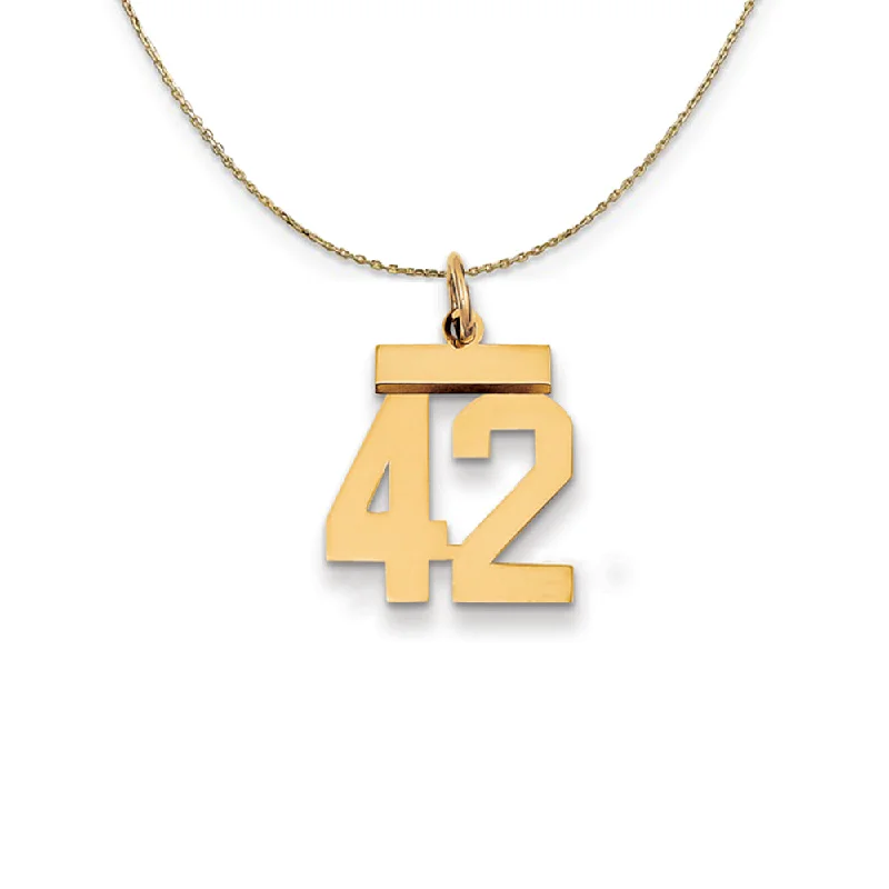 14k Yellow Gold, Athletic, Sm Polished Number 42 Necklace