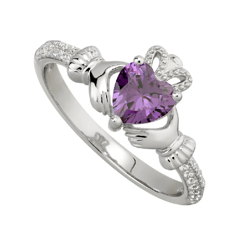 Steel cast ring-February Birthstone Claddagh Ring